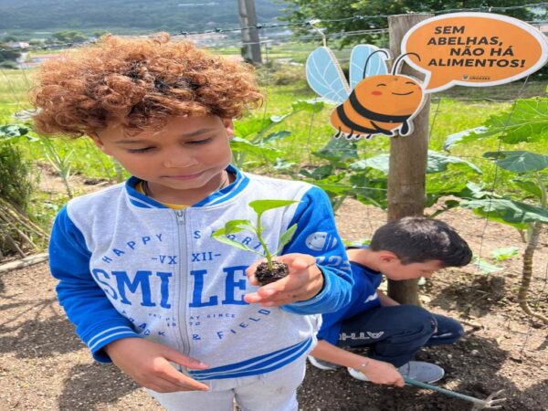 &nbsp;